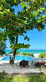 /album/fotogaleria-zanzibar-hotely/zanzibar-ubytovanie-2-jpeg/